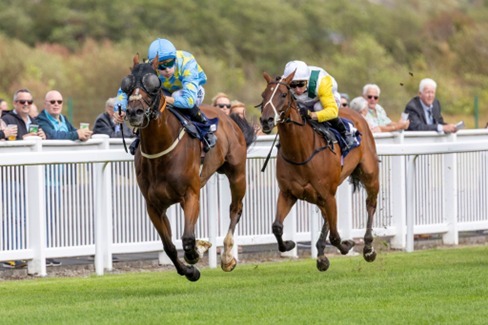 Ffos Las Race Cards 12 August six-race programme