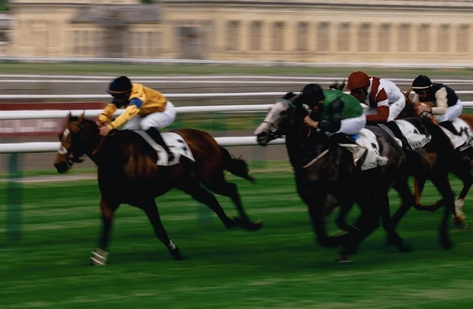 Vichy racecards 12 August 2026 flat racing action at Vichy Racecourse