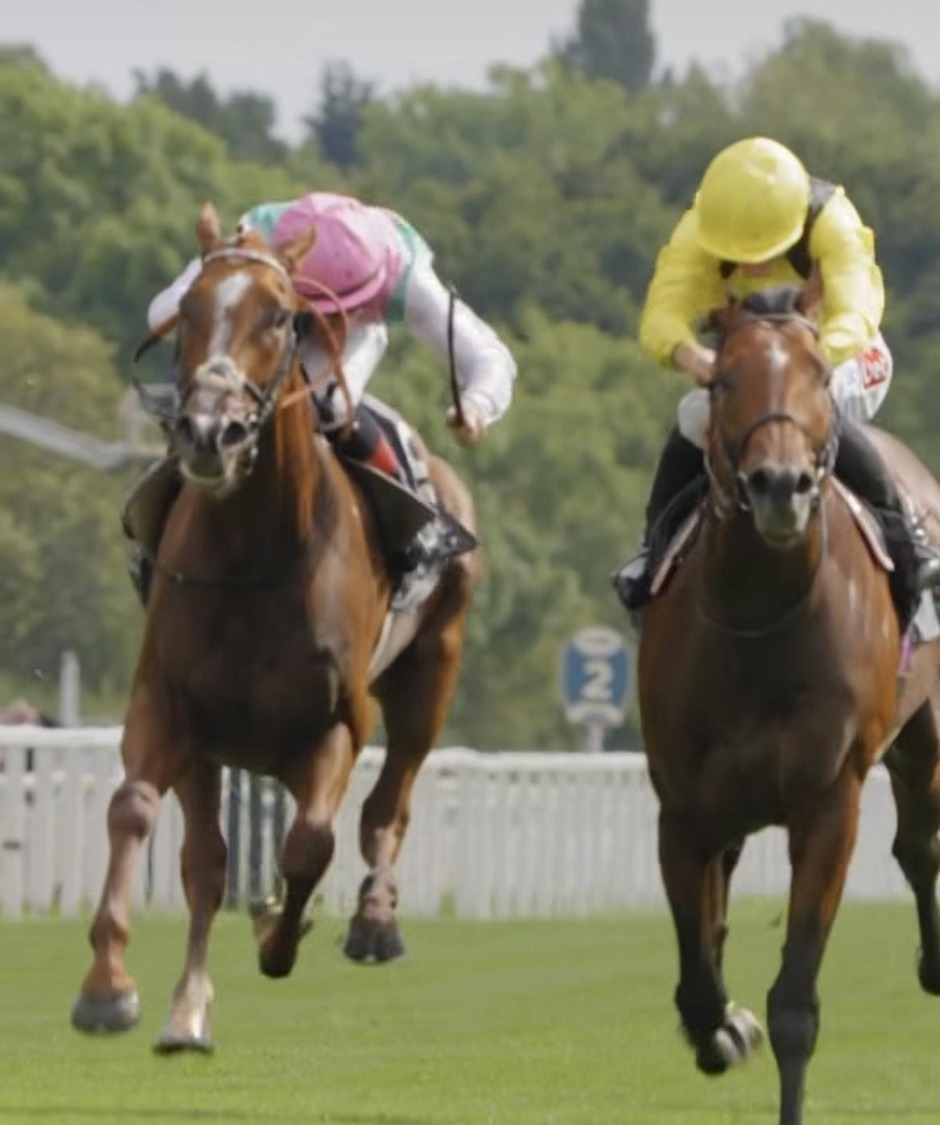 York racecards 22 August 2026 flat racing action at York Racecourse