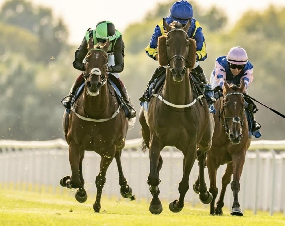 Windsor racecards 13 August 2026 flat racing action at Windsor Racecourse
