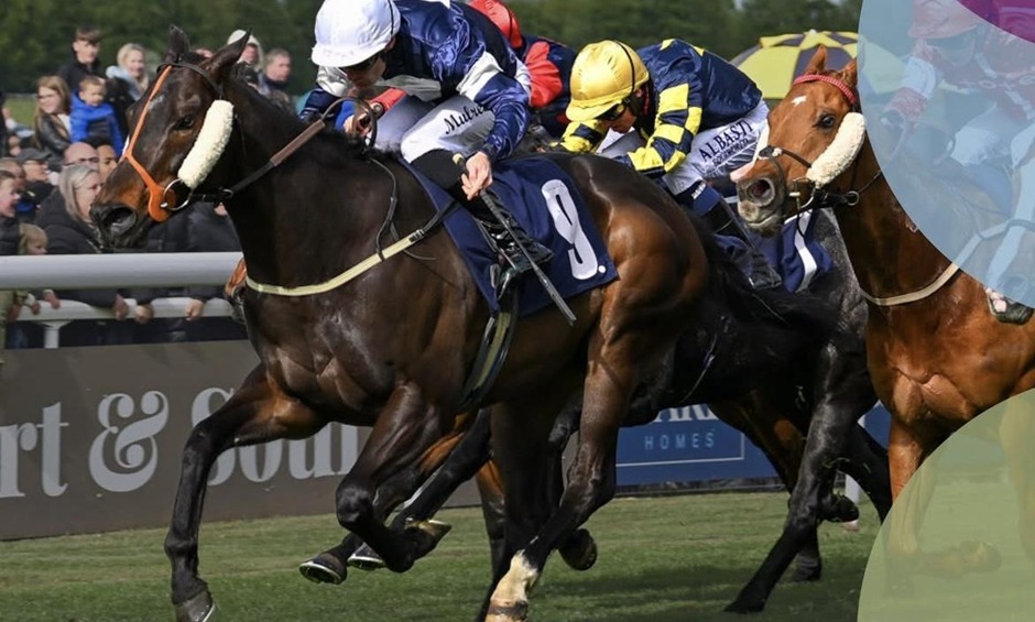 Beverley racecards 13 August 2026 flat racing action at Beverley Racecourse