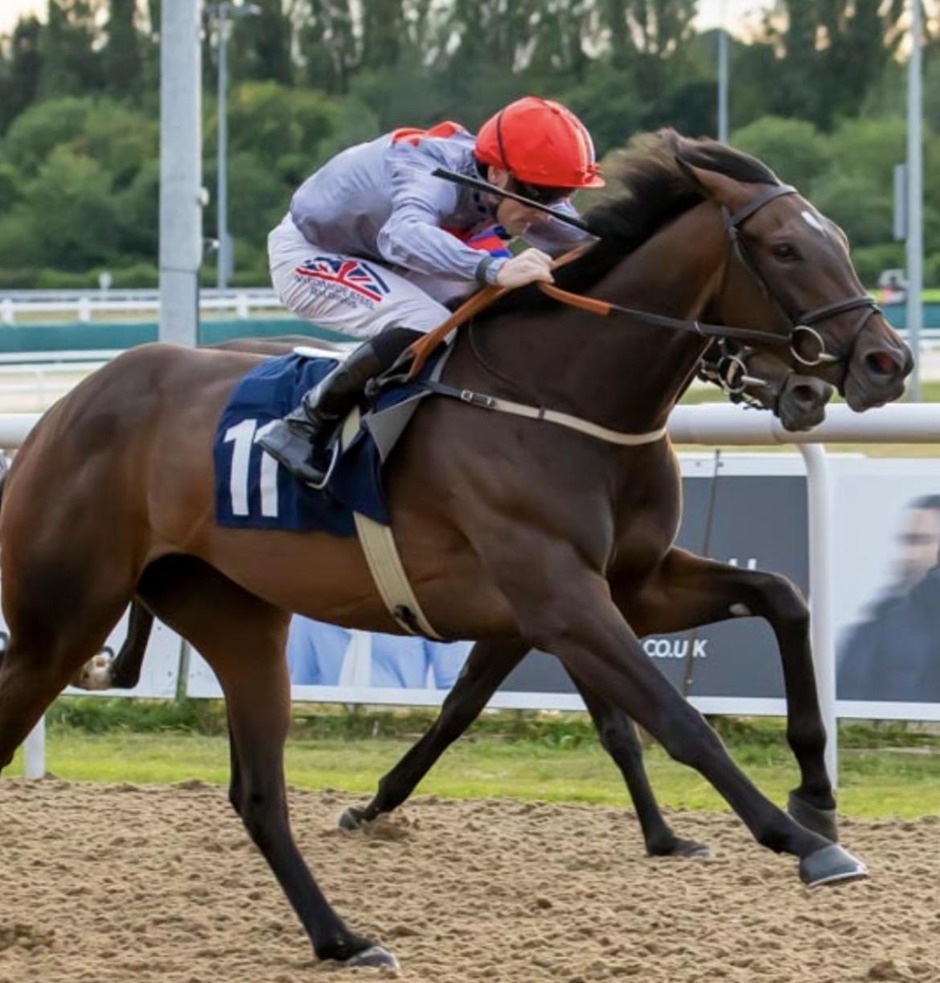 Wolverhampton racecards 18 August 2026 all-weather racing action at Wolverhampton Racecourse