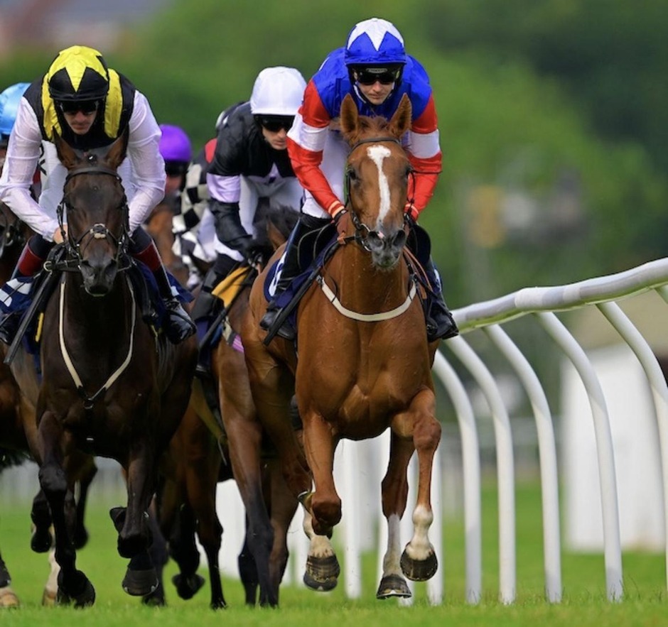 Newton Abbot racecards 22 August 2026 racing action at Newton Abbot Racecourse