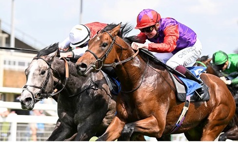 Salisbury Race Cards 13 August at Salisbury Racecourse