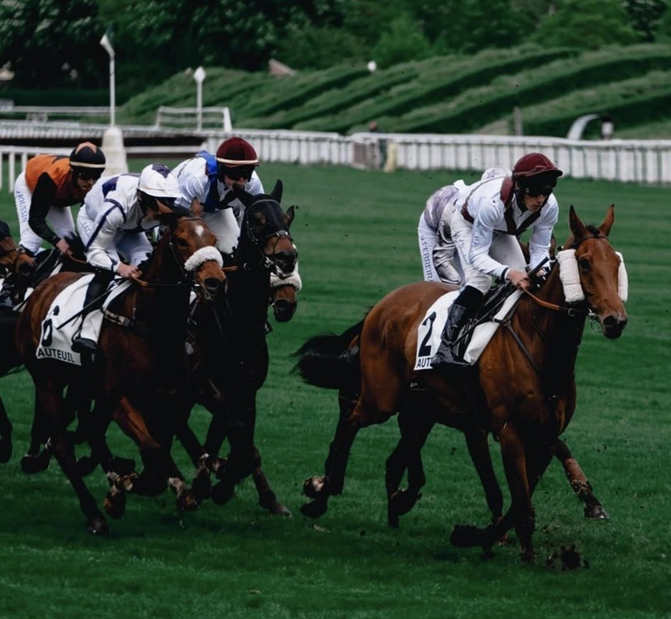 Dax racecards 23 August 2026 racing action at Dax Racecourse