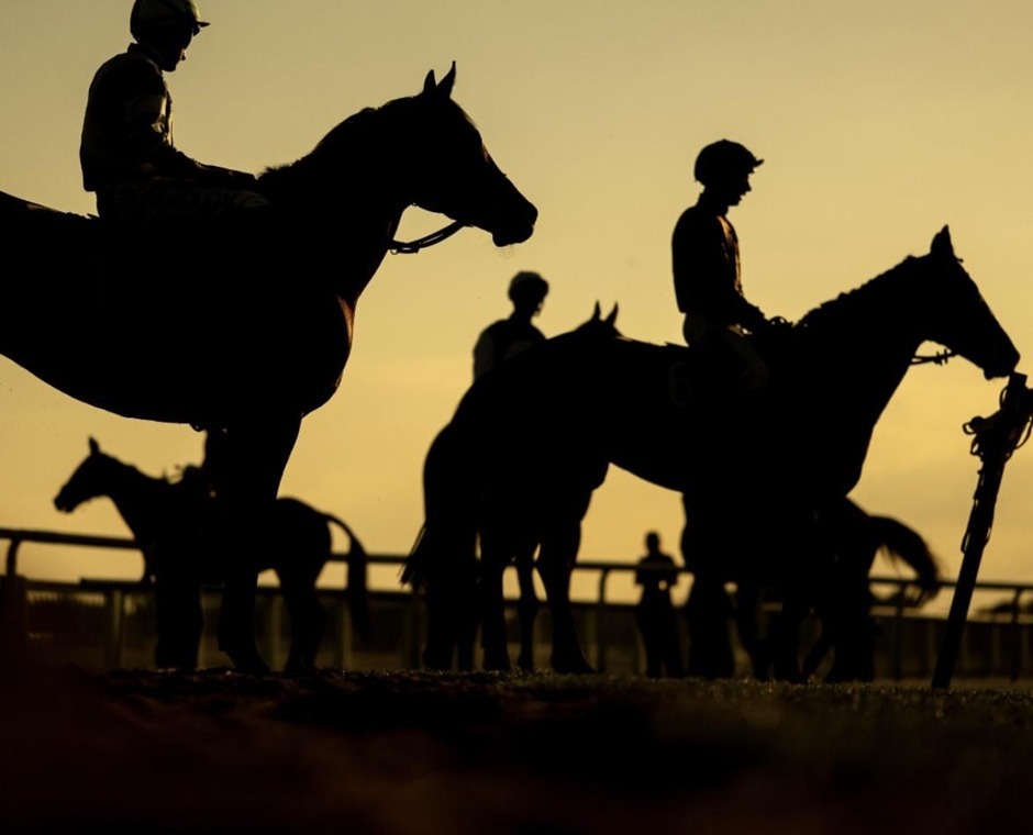Windsor race results 13 August 2026 racing action at Windsor Racecourse