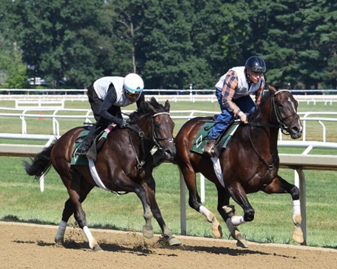 Saratoga Race Cards 19 August at Saratoga Racecourse