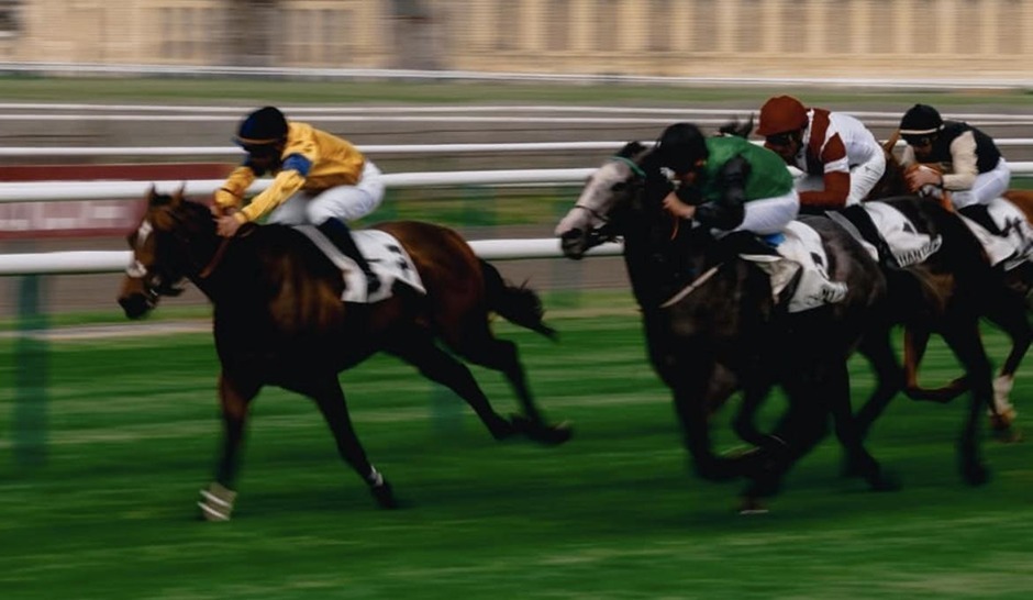 Vichy racecards 14 August 2026 flat racing action at Vichy Racecourse