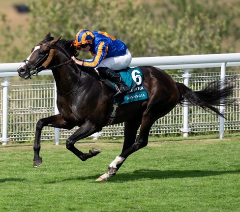 Cork Race Cards 14 August seven-race programme at Cork Racecourse