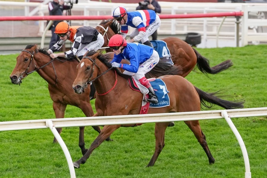 2026 Inglis Ready2Race Sale catalogue featuring 321 two-year-old lots