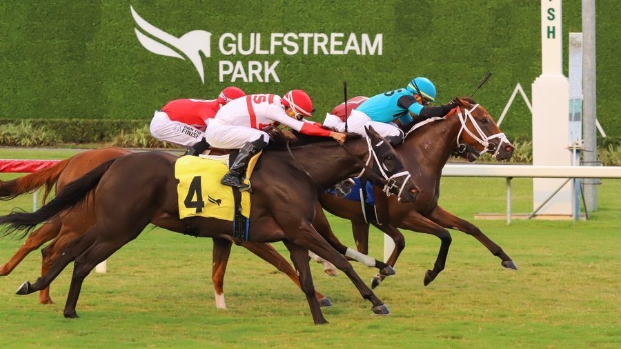 Ghostlight prepares for Gulfstream Park Monday races