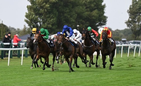 Great Yarmouth Race Cards 14 August at Great Yarmouth Racecourse