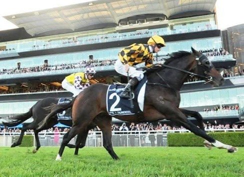 Rosehill Race Cards 15 August at Rosehill Gardens during The Rosebud Day meeting
