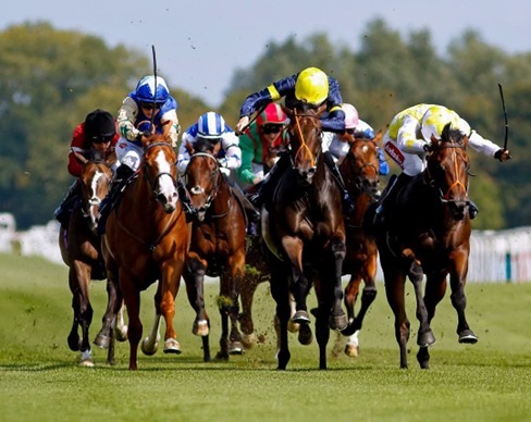 Newbury Race Cards 15 August seven-race programme at Newbury Racecourse