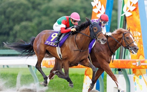 Niigata Race Cards 15 August featuring the Niigata Jump Stakes at Niigata Racecourse