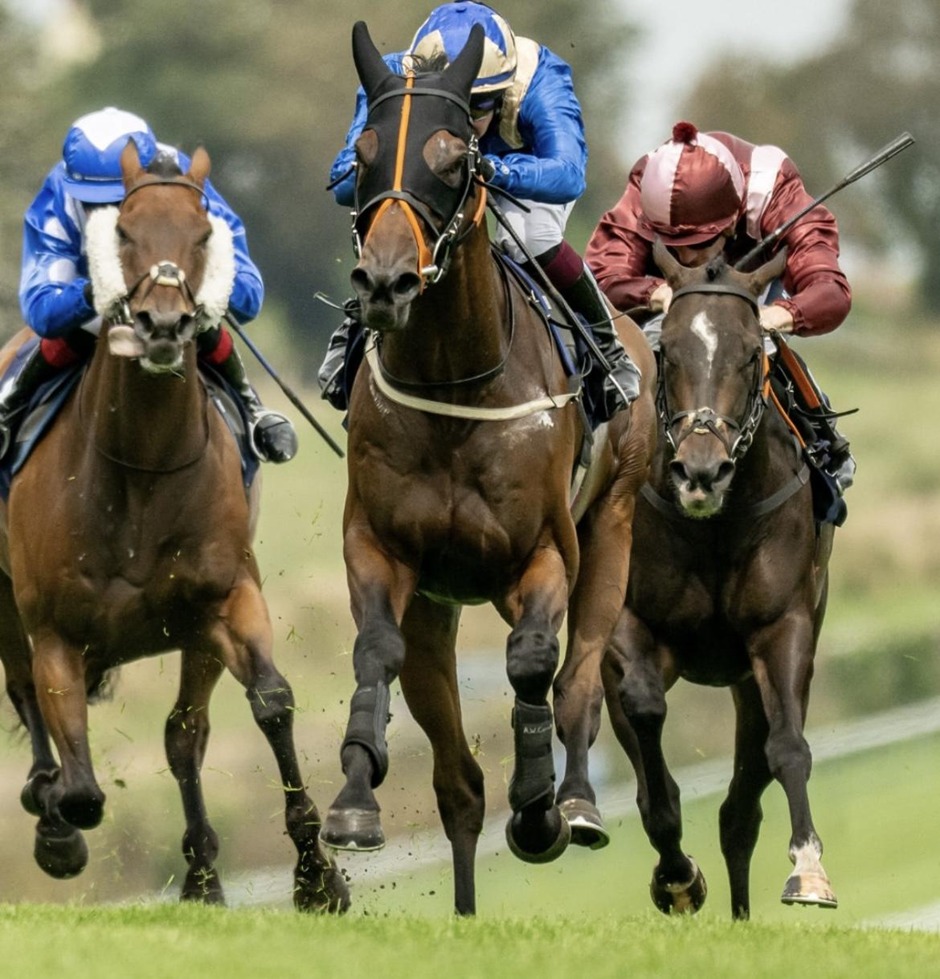 Brighton racecards 5 August 2026 flat racing action at Brighton Racecourse