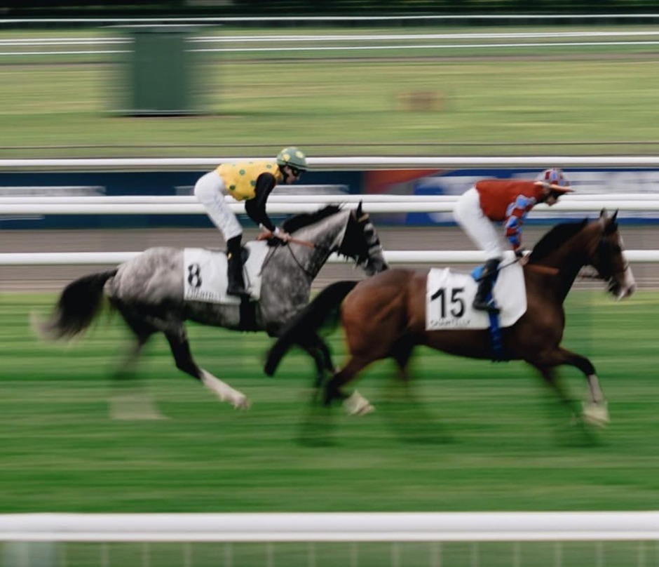 Deauville racecards 15 August 2026 flat racing action at Deauville Racecourse