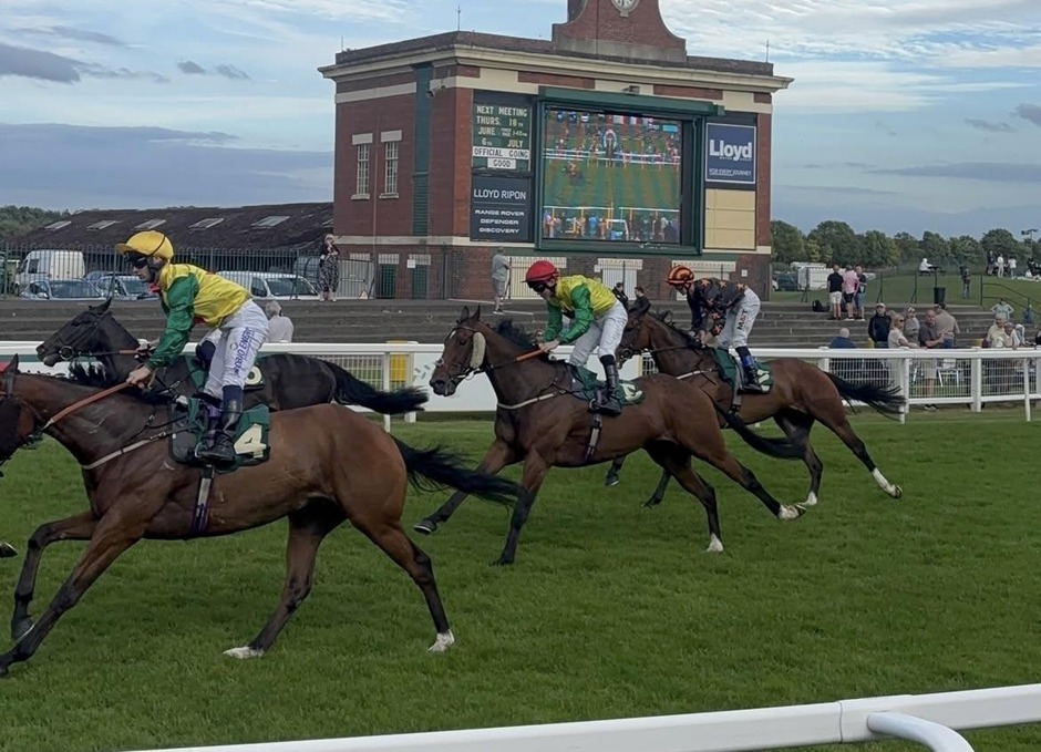 Ripon racecards 15 August 2026 flat racing action at Ripon Racecourse
