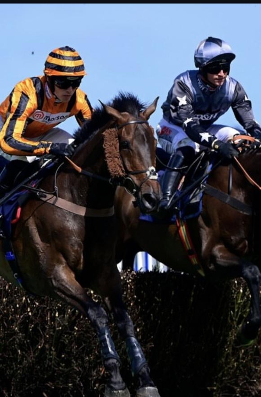 Newton Abbot Racecourse Instagram
