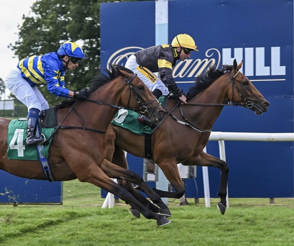 Thirsk racecards 28 August 2026 flat racing action at Thirsk Racecourse