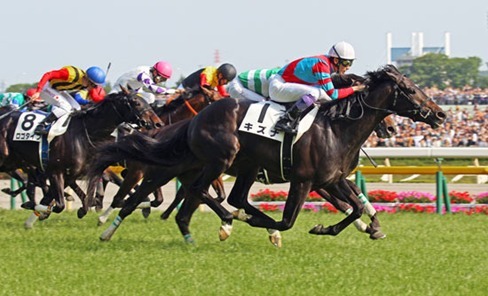 Sapporo Race Cards 16 August at Sapporo Racecourse