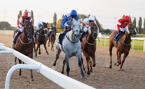 Southwell Race Cards 16 August at Southwell Racecourse