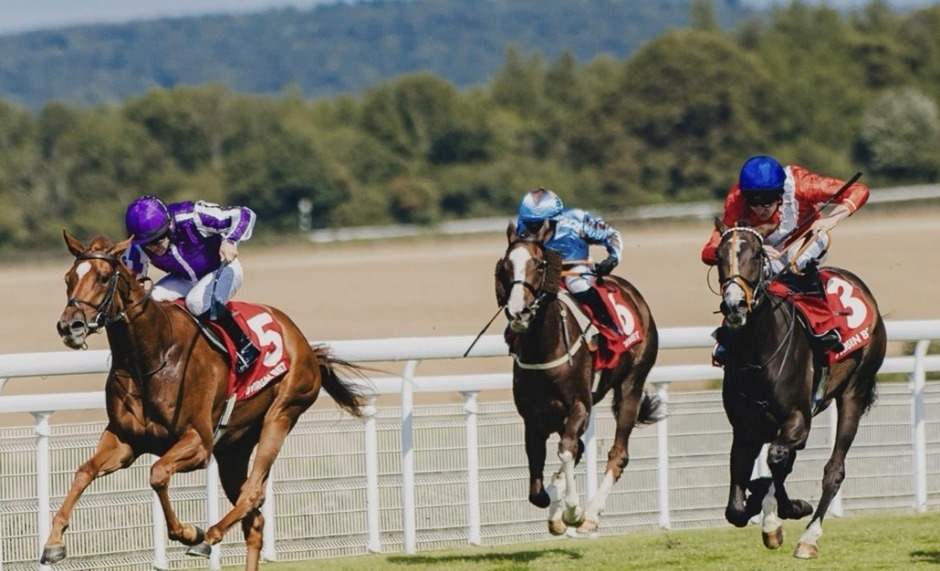 Goodwood racecards 29 August 2026 flat racing action at Goodwood Racecourse