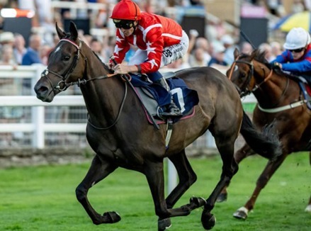 Windsor Race Cards 17 August at Windsor Racecourse