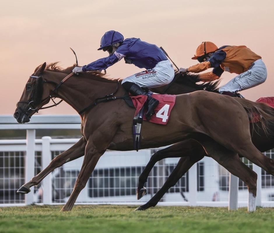 Sandown Park racecards 29 August 2026 racing action at Sandown Park Racecourse