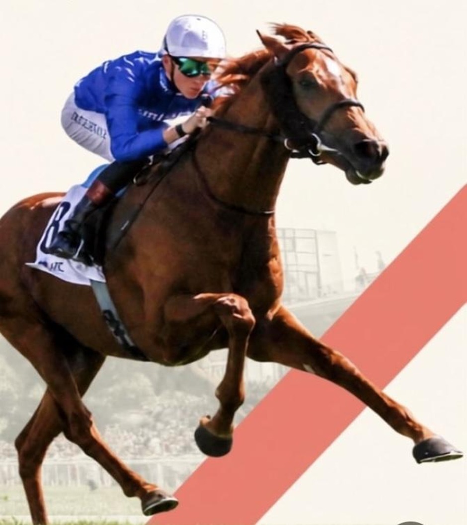 Deauville racecards 18 August 2026 flat racing action at Deauville Racecourse