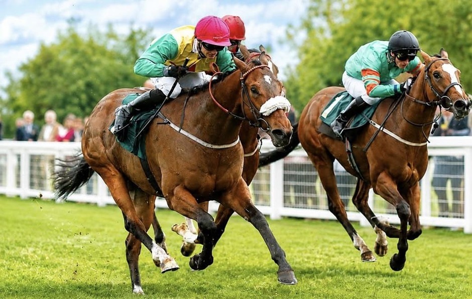 Ripon race results 15 August 2026 flat racing action at Ripon Racecourse