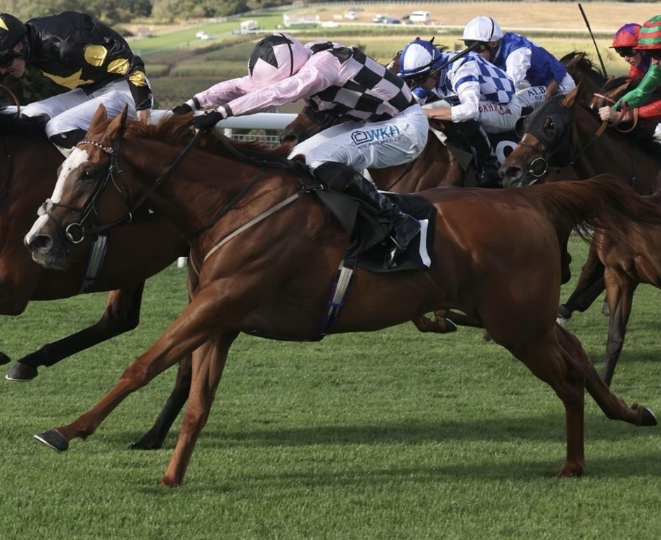 Goodwood race results 28 August 2026 racing action at Goodwood Racecourse