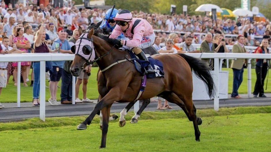 Chepstow racecards 29 August 2026 racing action at Chepstow Racecourse