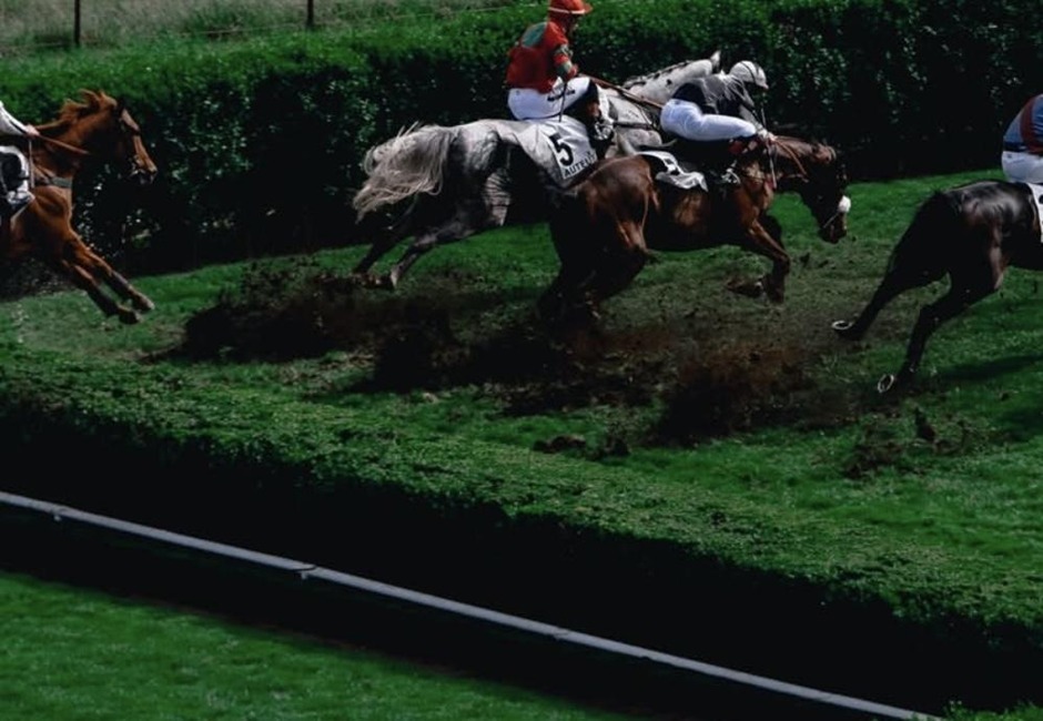 Clairefontaine racecards 29 August 2026 racing action at Clairefontaine Racecourse