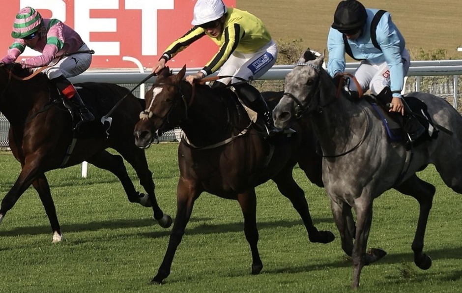 Goodwood racecards 30 August 2026 flat racing action at Goodwood Racecourse