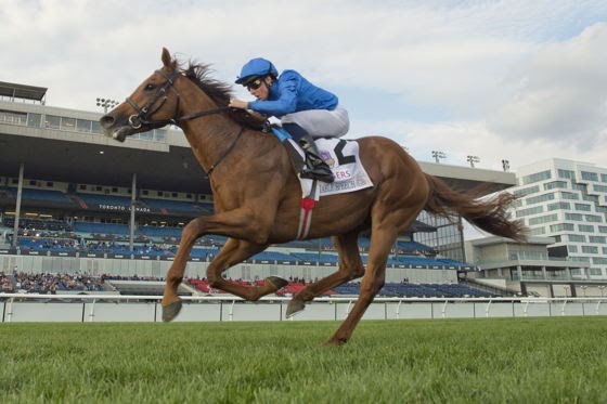 Woodbine Turf Champions Day nominations for September 12