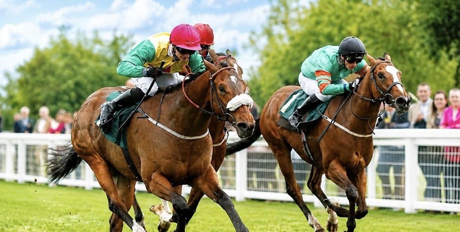 Ripon racecards 31 August 2026 flat racing action at Ripon Racecourse