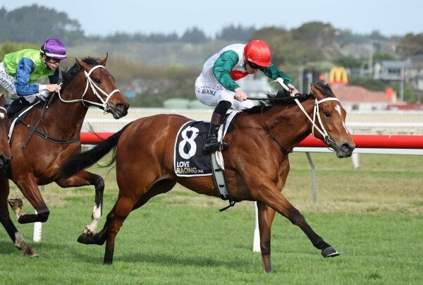 Perfect Chaos wins the Listed Wanganui Guineas