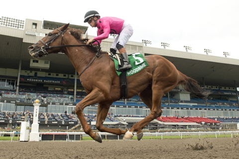 Paramount Prince wins the inaugural Caledon Stakes at Woodbine