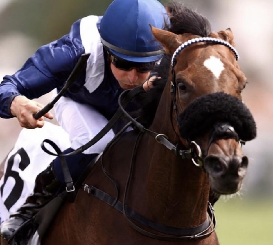 Saint-Malo racecards 18 August 2026 racing action at Saint-Malo Racecourse