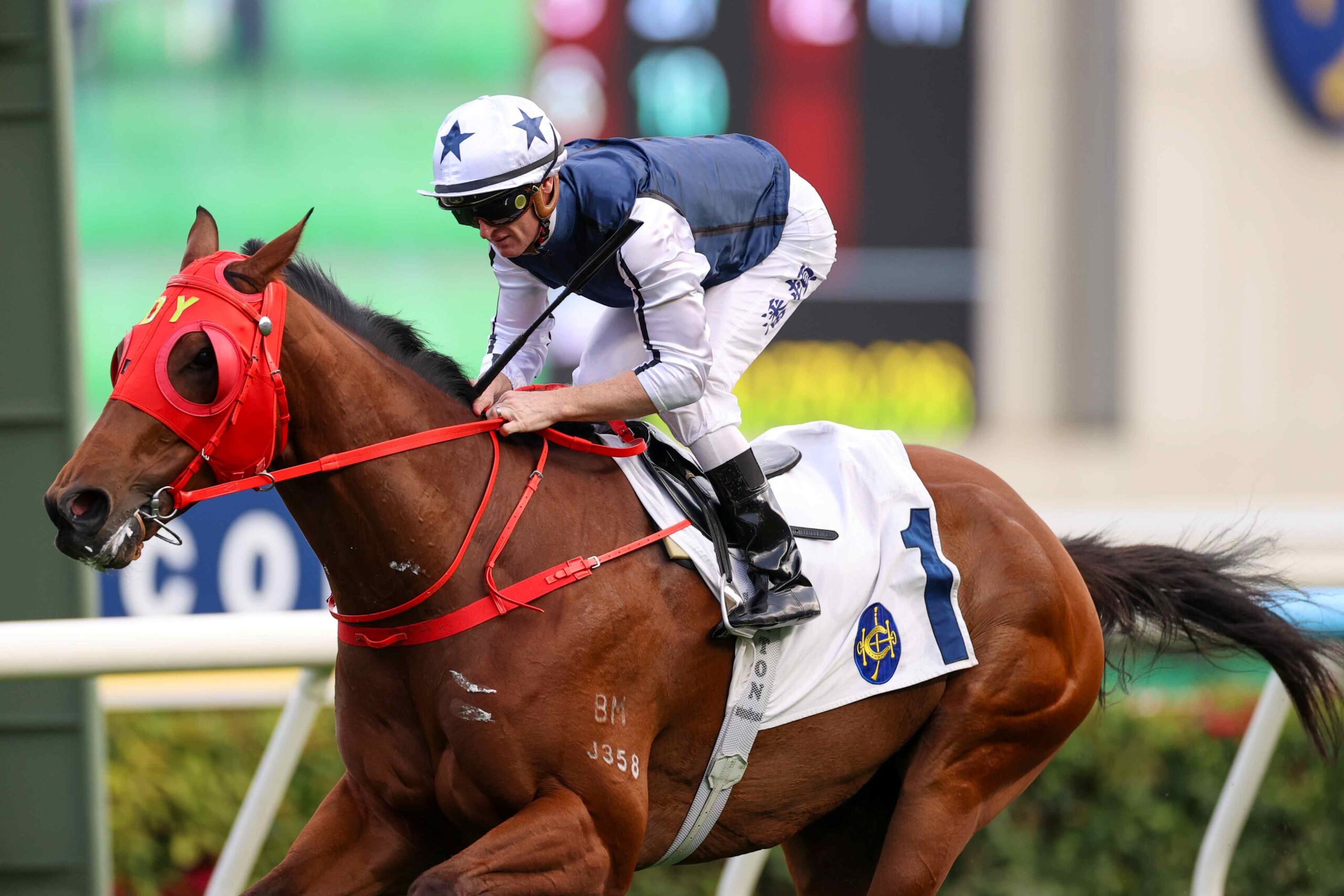Fast Network prepares for Japan debut under trainer Dennis Yip