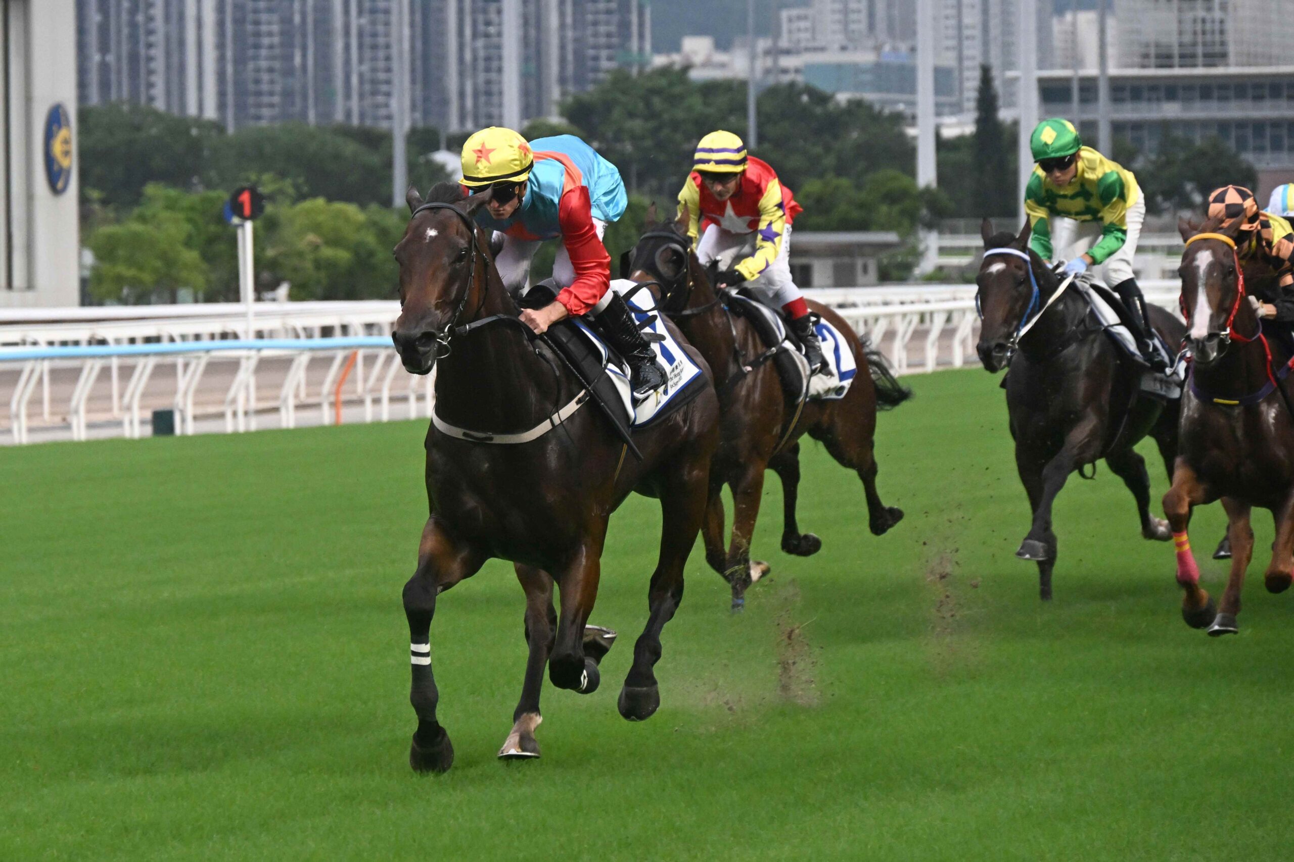 Ka Ying Rising during his Sha Tin barrier trial ahead of the 2026/27 season opener