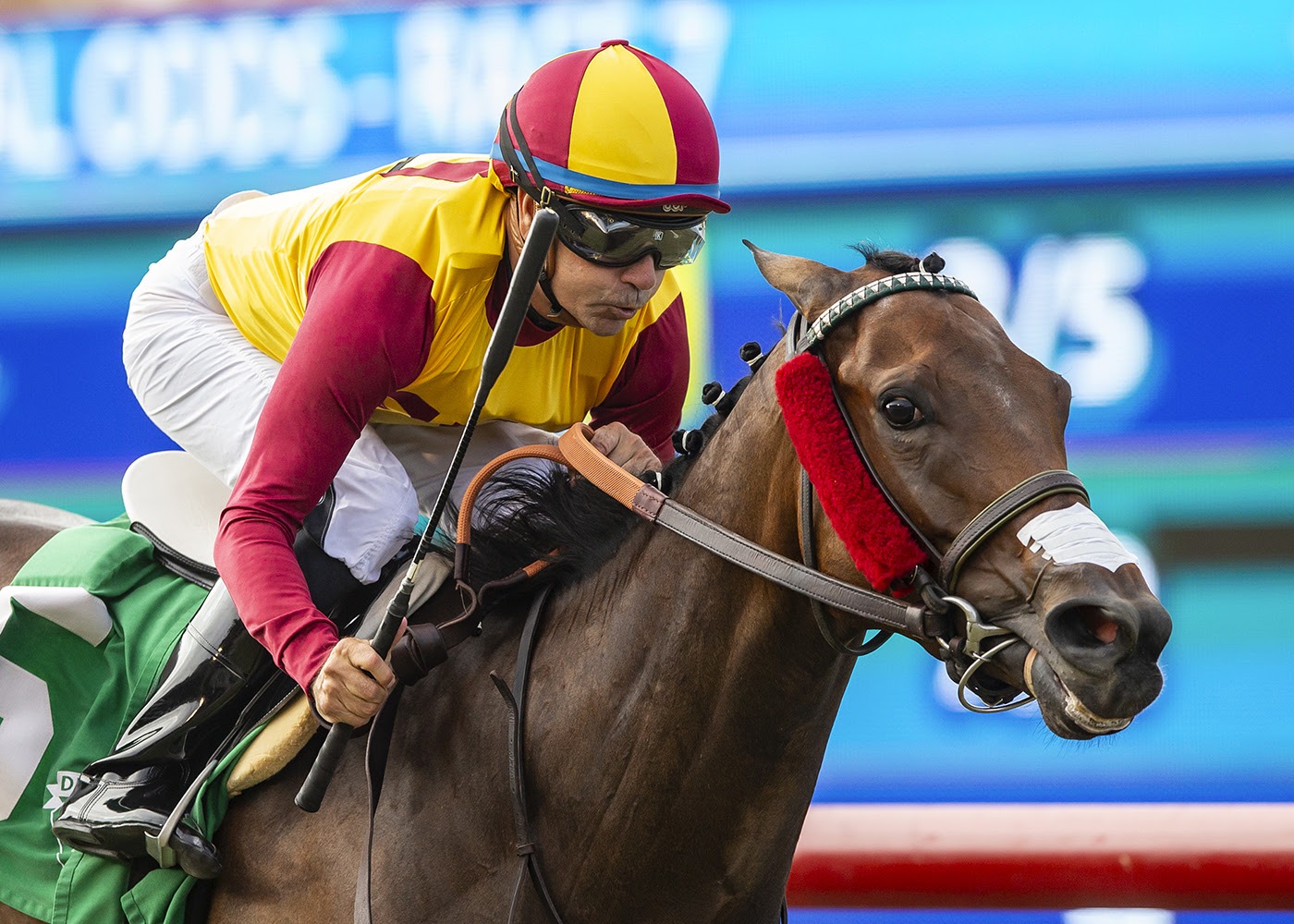 Pura Vida Princesa winning the Del Mar Friday feature