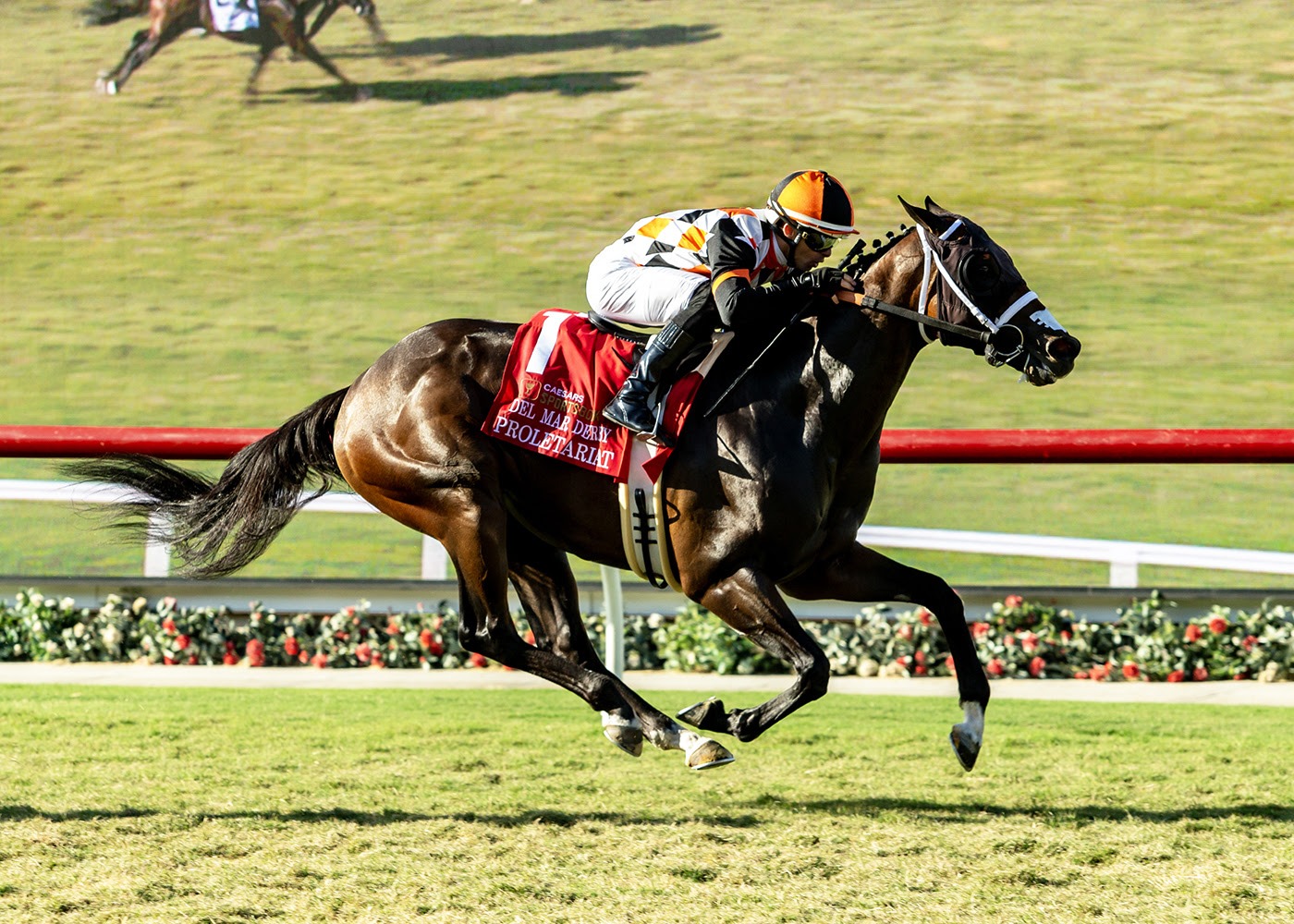 Proletariat winning the Del Mar Derby at Del Mar