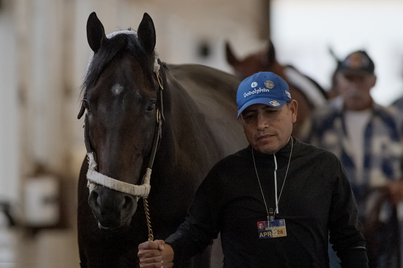 Knightsbridge after winning the 2026 Pacific Classic at Del Mar