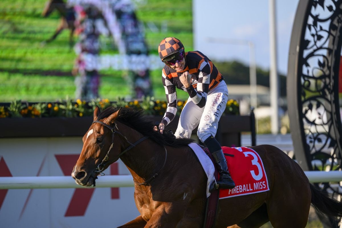 Cornerstone Stud dispersal featuring Fireball Miss and Ballet’s Legacy