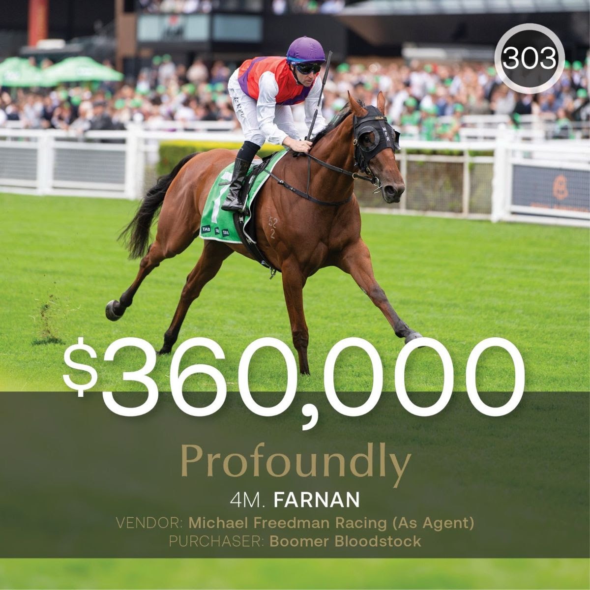 Profoundly topped the Inglis Digital August Sale at $360,000