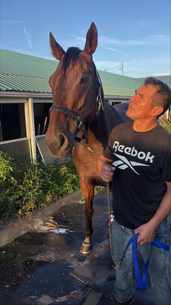 Alpha Gamma Girl preparing for the 2026 Zadracarta Stakes at Woodbine