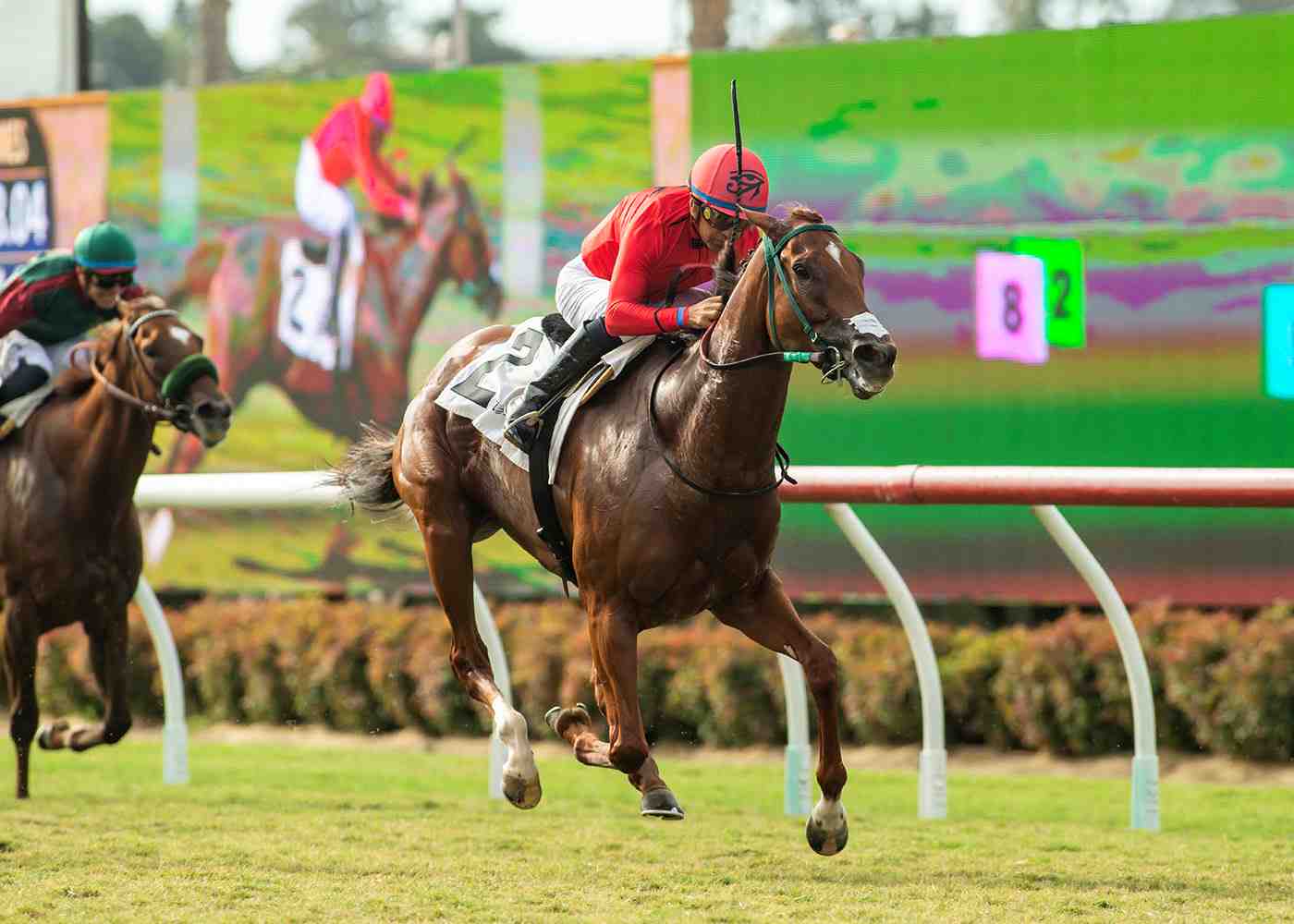 Pacific Classic 2026 field of 11 horses at Del Mar