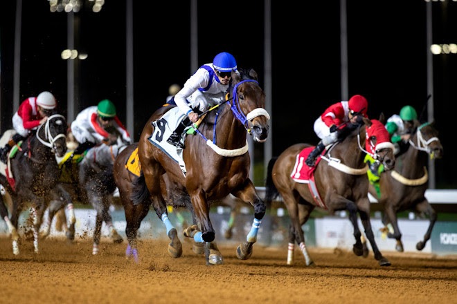Thundersquall returns to Taif for the Alshafa Cup at King Khalid Racecourse